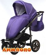 Androx Milano Фиолет
